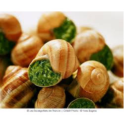 Escargots coquille persillés